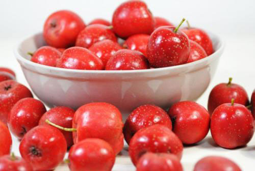 ���̴��߿��ԳԻ����� ��ʲô�����̴����